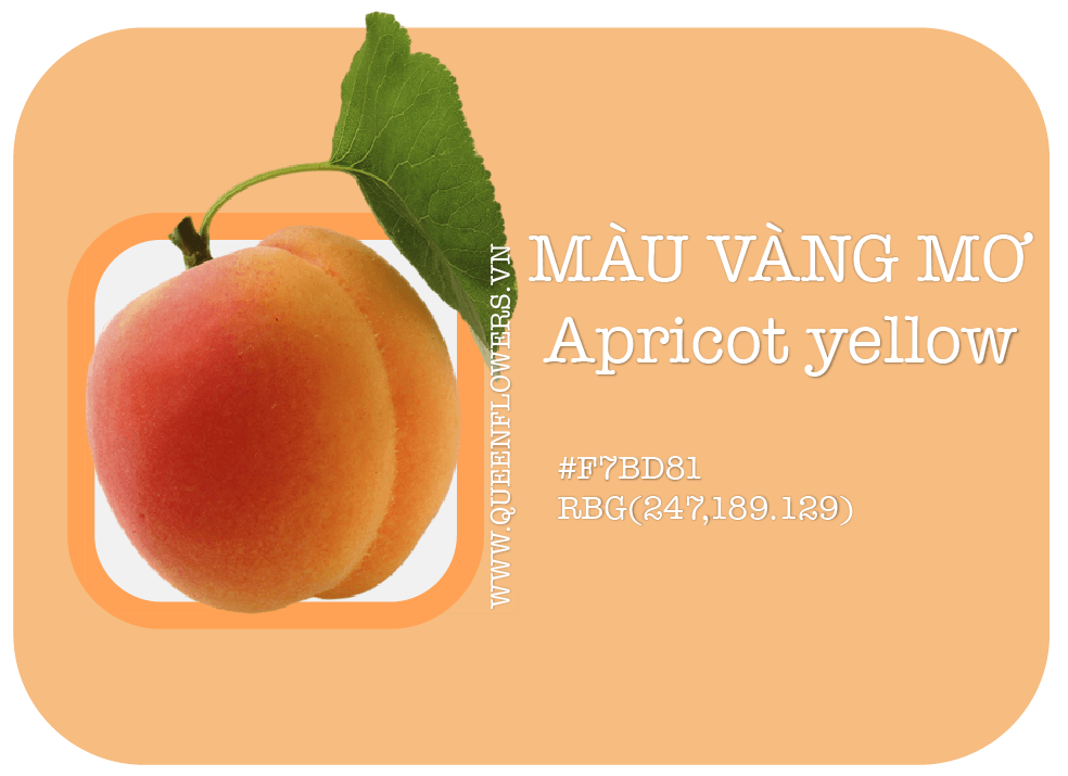 Ý Nghĩa Màu Vàng Mơ: Bí Quyết Cho Cuộc Sống Tươi Vui Hơn